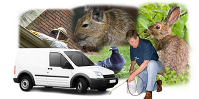 Stapleford local van